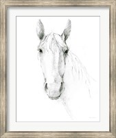 Horse Sketch Fine Art Print