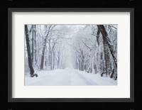 Going Home Fine Art Print