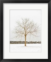By the Stone Wall Fine Art Print