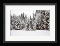 Over the Bridge Fine Art Print