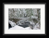 Whatcom Creek Bridge Fine Art Print