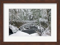 Whatcom Creek Bridge Fine Art Print