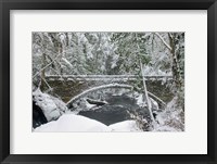 Whatcom Creek Bridge Fine Art Print