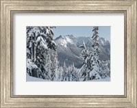 Nooksack Ridge in Winter Fine Art Print