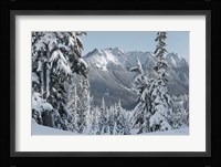 Nooksack Ridge in Winter Fine Art Print