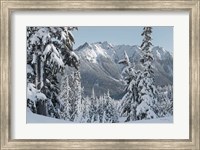 Nooksack Ridge in Winter Fine Art Print