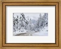 Mount Baker Highway I Fine Art Print