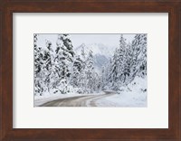 Mount Baker Highway I Fine Art Print