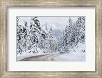 Mount Baker Highway I Fine Art Print