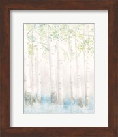 Soft Birches III Fine Art Print