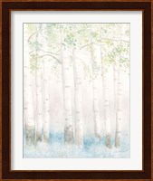 Soft Birches III Fine Art Print