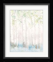Soft Birches III Framed Print