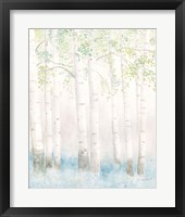 Soft Birches III Framed Print