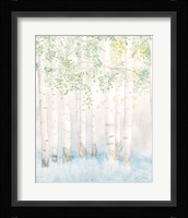 Soft Birches II Framed Print