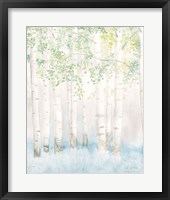 Soft Birches II Fine Art Print