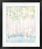 Soft Birches II Framed Print