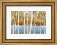 Lakeside Birches Fine Art Print
