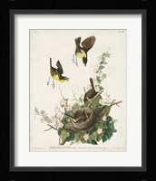 Pl 137 Yellow-breasted Chat Fine Art Print