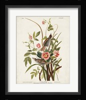 Pl 93 Seaside Finch Fine Art Print