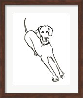 The Dog II Fine Art Print