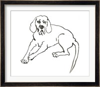 The Dog III Fine Art Print