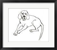 The Dog III Fine Art Print