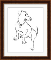 The Dog IV Fine Art Print