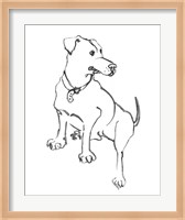The Dog IV Fine Art Print
