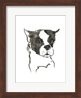 The Dog V Fine Art Print