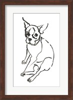 The Dog VI Fine Art Print