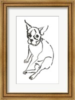 The Dog VI Fine Art Print