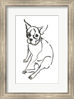 The Dog VI Fine Art Print