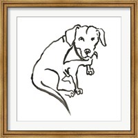 The Dog VII Fine Art Print