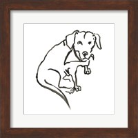 The Dog VII Fine Art Print