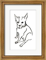 The Dog VIII Fine Art Print