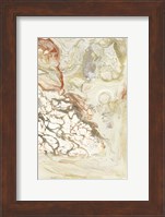 Coral & Alabaster II Fine Art Print
