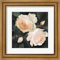 Soft Garden Roses I Fine Art Print
