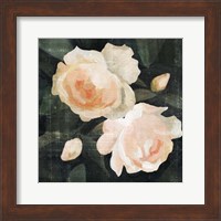 Soft Garden Roses I Fine Art Print