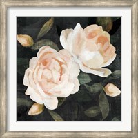 Soft Garden Roses II Fine Art Print