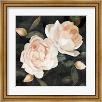 Soft Garden Roses II Fine Art Print