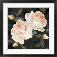 Soft Garden Roses II Fine Art Print