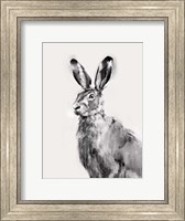 Wild Hare I Fine Art Print