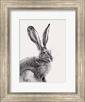 Wild Hare II Fine Art Print