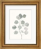 Delicate Sage Botanical I Fine Art Print
