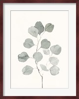 Delicate Sage Botanical I Fine Art Print