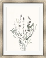 Delicate Sage Botanical V Fine Art Print