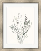 Delicate Sage Botanical V Fine Art Print