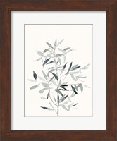 Delicate Sage Botanical VI Fine Art Print