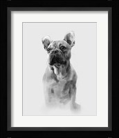 Pug Portrait I Fine Art Print