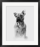 Pug Portrait I Fine Art Print